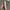 Corkcicle Canteen 25oz Original Second photo 2