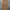 Dickies Streetwear Vintage Dungaree Pria brown photo 4