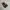 Maison Margiela Tabi Ballerina Flats Black New Leather Rare photo 1