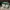 GUESS Naya Crossbody Green