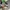 Nike Jordan Jayson Tatum 1 Basketball - Size 40 - Like New photo 2