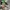 Nike Jordan Jayson Tatum 1 Basketball - Size 40 - Like New