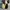 Converse 70s Hi Ying Yang photo 7