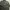 BUCKARO M65 Jacket photo 8