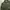 BUCKARO M65 Jacket photo 2