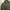 BUCKARO M65 Jacket