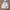 HOODIE ZIP UNIQLO X USC TECH FLEECE SAKU DADA photo 1