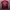 Jersey Home Liverpoo 2013/2014 photo 1