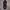 NIKE INGSPO🥷 photo 1