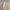 Unknown Lined Outter photo 5