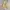 Unknown Lined Outter photo 2