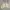 Unknown Lined Outter photo 2