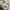 Unknown Lined Outter photo 6