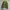 The North Face Camo Ultralight Down Jacket photo 3