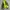 The North Face Camo Ultralight Down Jacket photo 6