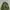 The North Face Camo Ultralight Down Jacket photo 5