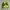 The North Face Camo Ultralight Down Jacket photo 5