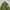 The North Face Camo Ultralight Down Jacket photo 4