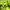 The North Face Camo Ultralight Down Jacket photo 7