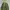 The North Face Camo Ultralight Down Jacket photo 4