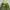 The North Face Camo Ultralight Down Jacket photo 3