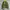 The North Face Camo Ultralight Down Jacket photo 1