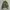 The North Face Camo Ultralight Down Jacket photo 2