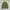 The North Face Camo Ultralight Down Jacket photo 1