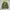 The North Face Camo Ultralight Down Jacket