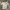 JERSEY NIKE WHITE ENGLAND 2013 "150 YEAR ANNIVERSARY" photo 1