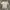 JERSEY NIKE WHITE ENGLAND 2013 "150 YEAR ANNIVERSARY" photo 2