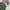 Rayban aviator reverse new collaction photo 7