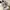 Reebok Classic Leather Alter the Icons – Size 38 photo 3