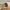 Steve Madden Casual Loafer Wanita cream photo 5