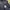 TRACKTOP SPY photo 6