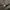 TRACKTOP SPY photo 4