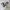 Nike shox Black silver metallic photo 1