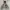 Ingni Boxy Puffer Sherpa Reversible Jacket photo 1