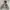 Ingni Boxy Puffer Sherpa Reversible Jacket photo 4