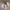 Pop Mart Baby Molly Pocket Friends - Leave Me Alone (Lilac)  photo 1