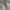 Baggy jeans Balloon Doublee kne y2k  photo 3
