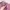 Cropped Oversize  photo 3