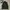 VEST PUFFER PADDED ESPIA BASIC photo 1