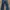 d’boss regular fitted jeans photo 2