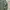 BOMBER MILITARY JAKET UNIQLO GREEN photo 5