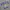 Crewneck / Sweater Ebbets Field Authentic photo 4
