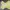 y2k baby yellow tank top photo 1