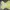 Y2k Baby Yellow Tank Top