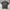 Tshirt Vivastudio  photo 1