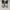 Converse CTAS low ox lift white photo 3